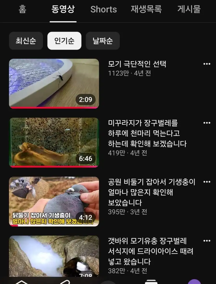 모기 전문 유튜버의 압도적 1위 영상_1.webp