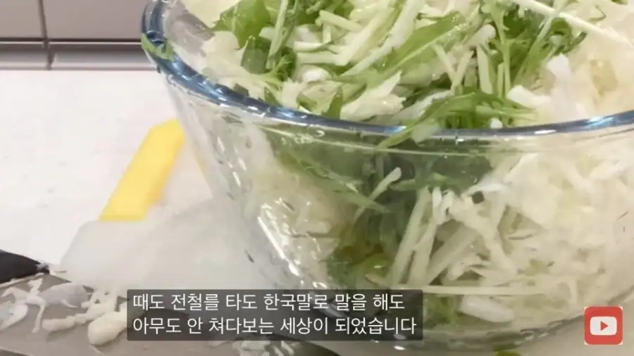 일본에서 교포나 혼혈에 대한 인식이 가시적으로 바뀌기 시작한 시점 추정_5.webp