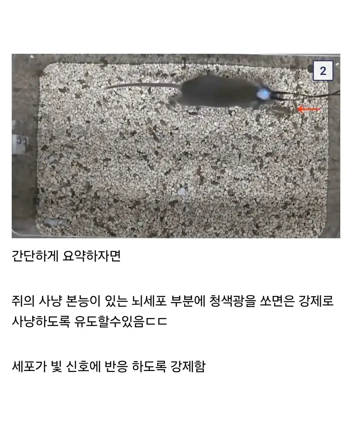 20261012180657_PZazajIGmJ.webp