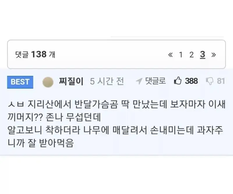 요즘 지리산에서 점점 늘어나는 일_2.webp