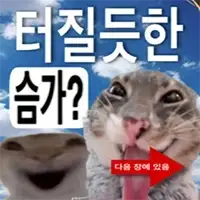 img/26/10/08/1a11a6ced4c56004a.webp?icon=4964