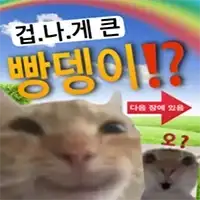 img/26/10/08/1a11a6cf03d56004a.webp?icon=4964