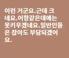 꽤 크네요.
