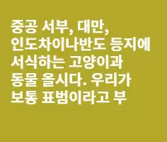 라오스에 살고 잇는 구름표범