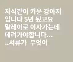 애완견 데리고 가고 싶습니다