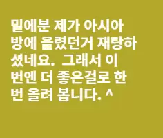 베트남 미녀사진 version-2