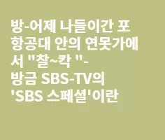 베트남 신부들의 자녀교육