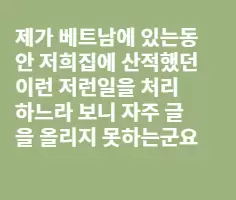 베트남으로 이주를 꿈꾸는 분들께3-철저한 사전조사만이 살길이다