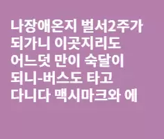 나장의 큰슈퍼 맥시마크와 에이마트의 가격비교