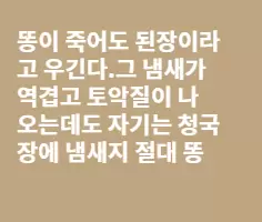 똥덩어리