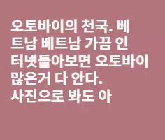 오토바이의 천국,베트남