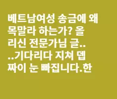 벳남 여자 왜 송금에 목말라 하는가?전문가님...