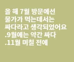 세부의 세 번 방문