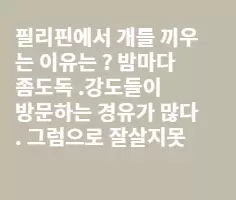필리핀에서 개를 끼우는이유는 ?