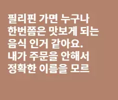 필리핀 생활정보 - 졸리비에서의 점심을~?