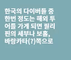 한국의 다이빙 강사라는 넘들...
