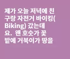 오늘 저녁에 자전거 바이킹 갔다가 거북이 한마리 잡았어요.