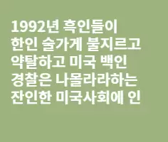 LA 한인가게 폭동후 미국에 대해서 염증이 생겼다!!