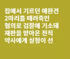 개때문에 인생망친 어느 한인(펀글)