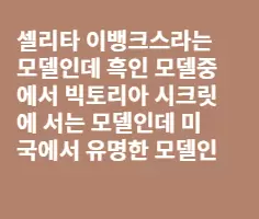 이 여자 미국에서 유명한 모델인가요?
