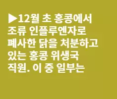 치료제 안듣는 변종 AI 바이러스 출현