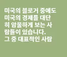 미국의 '미네르바'들