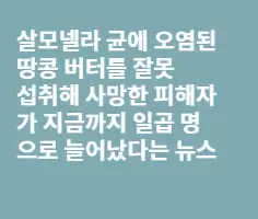 땅콩버터 먹고 목숨 잃는 세상에서