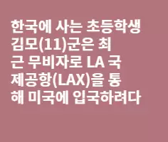 미국 무비자로 왔다가 추방당한 한인들(펀글)