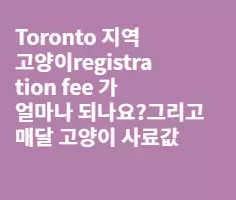 고양이 키우시는 분들 급해요!!!!!!!!!!!!!!!!!!!!!!