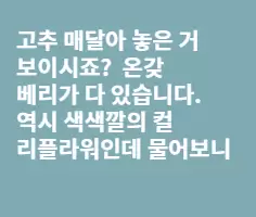 퀘벡자랑에 들뜬 남편이 신났던 하루였죠.