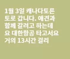 한국에서 강아지 데리고오고싶은데요..