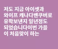 저도 기러기 아빠입니다