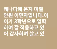 학교 뉴스-소식지 해석?