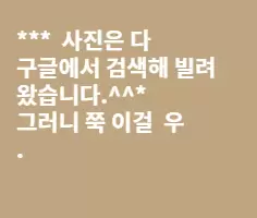 멋진 드레스를 싸고 현명하게 입는 10가지 방법!
