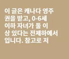 캐나다 이민해서 월 $800 수입으로 살아남기