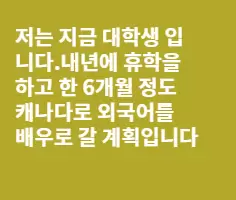 한 6개월 정도 언어연수를 가면...