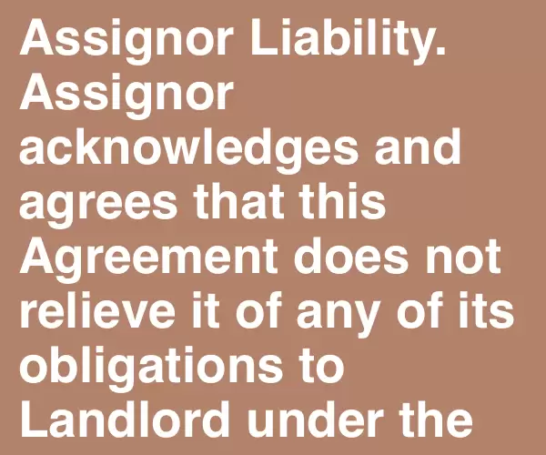 BADA.TV 바다티비