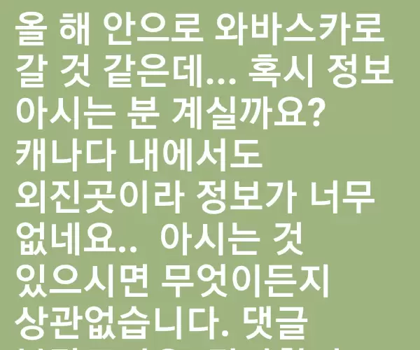 BADA.TV 바다티비