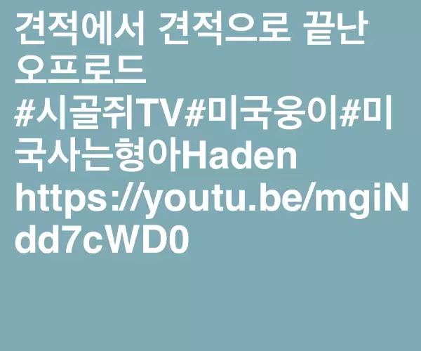 BADA.TV 바다티비