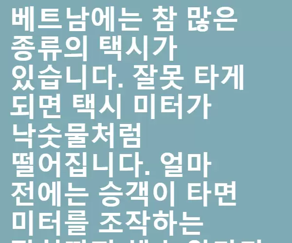 베트남의 '짝퉁택시'구별법