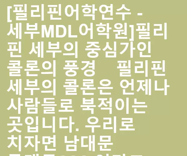 필리핀 세부의 중심가인 콜론의 풍경