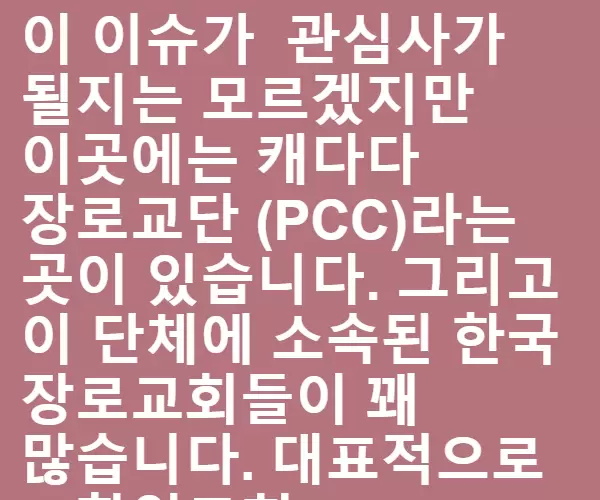 BADA.TV 바다티비