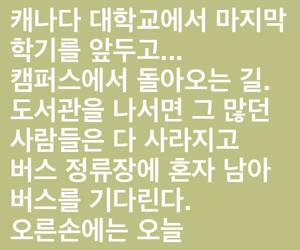 BADA.TV 바다티비