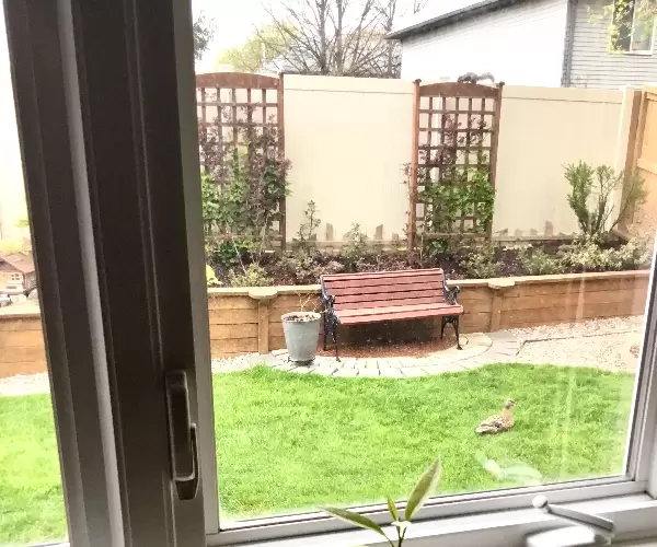 BADA.TV 바다티비