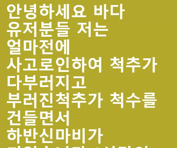 BADA.TV 바다티비