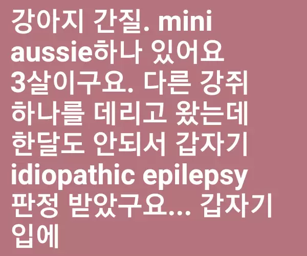 BADA.TV 바다티비