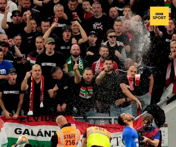 BADA.TV 바다티비