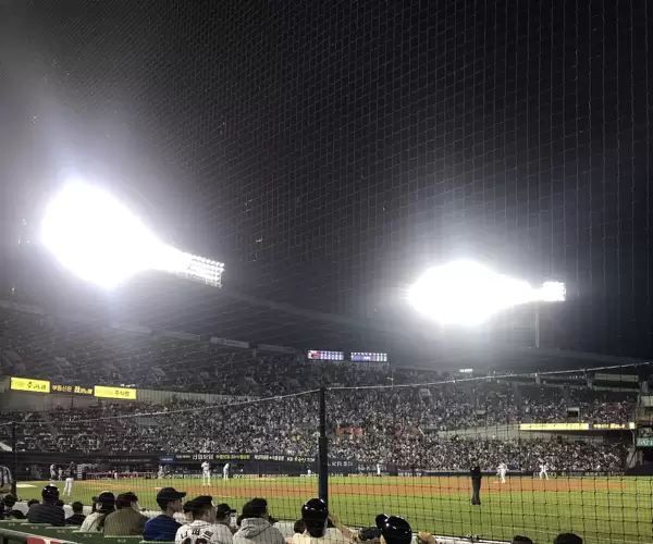 BADA.TV 바다티비