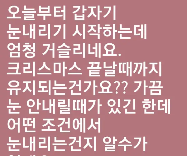 BADA.TV 바다티비