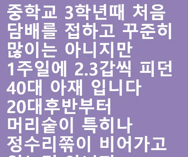 BADA.TV 바다티비